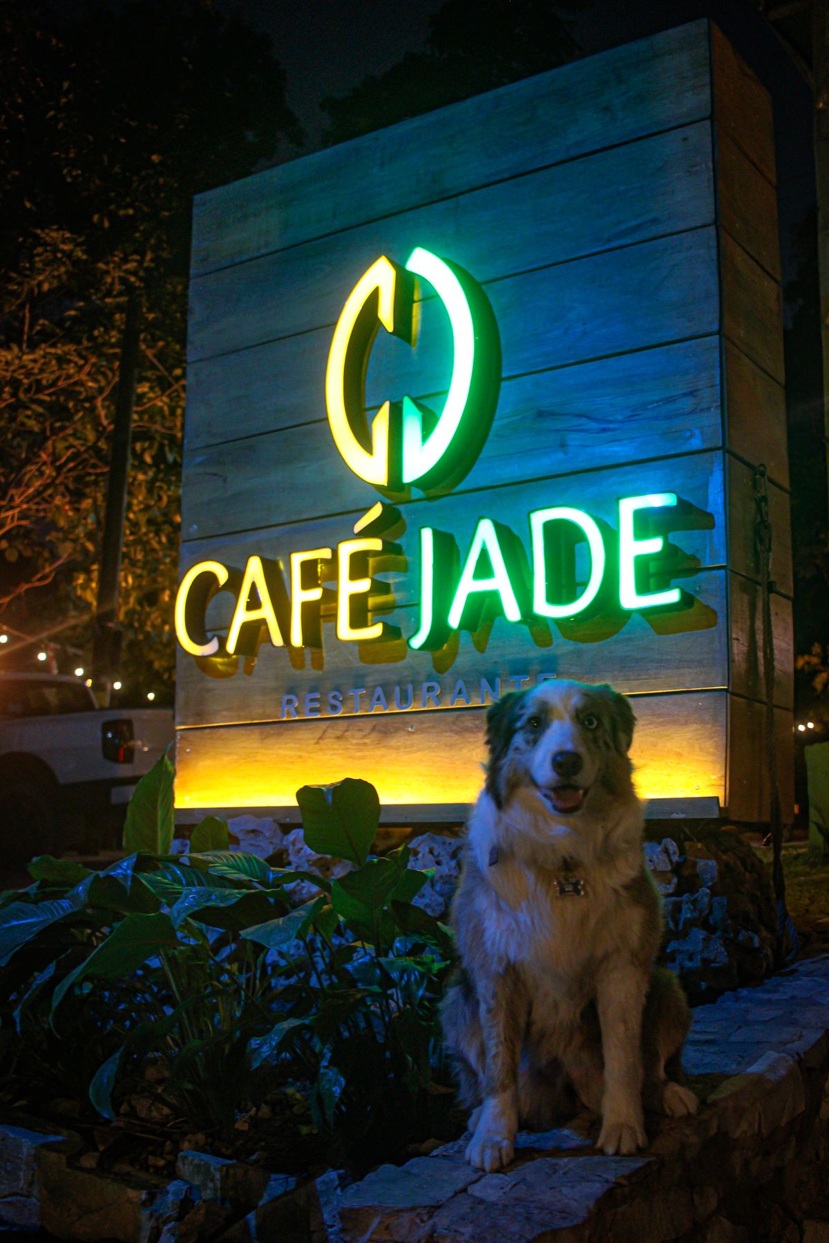 Detalle de mesa y ambiente acogedor en Cafe Jade